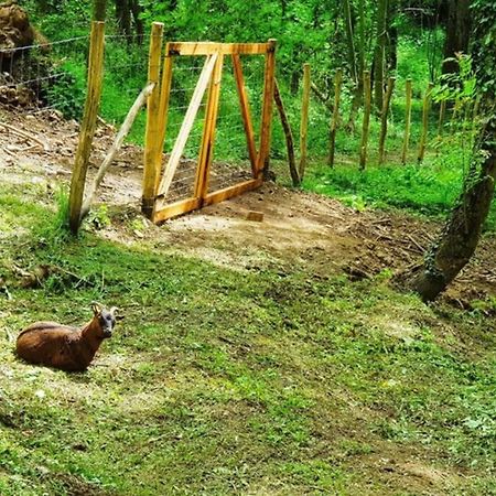 Villa Complete Au Calme Avec Vue Imprenable Beausemblant Dış mekan fotoğraf