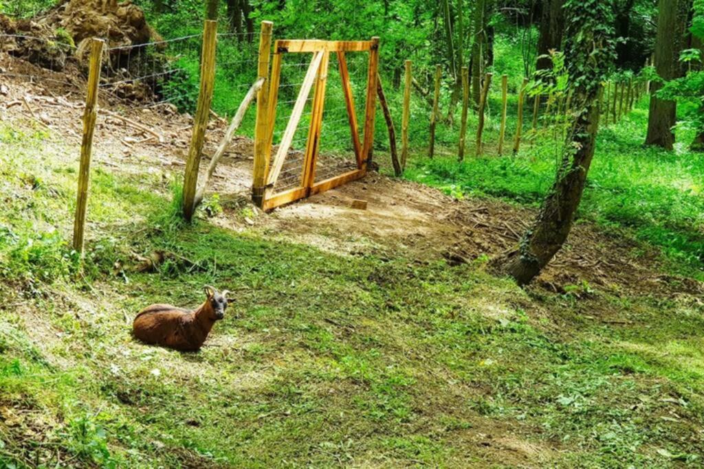 Villa Complete Au Calme Avec Vue Imprenable Beausemblant Dış mekan fotoğraf